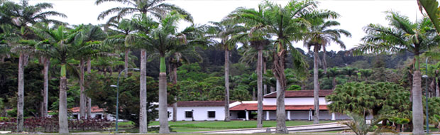 slide4