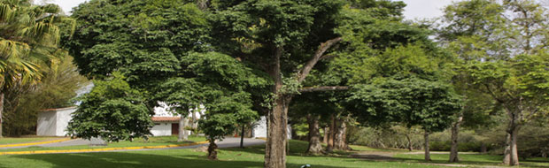 slide4